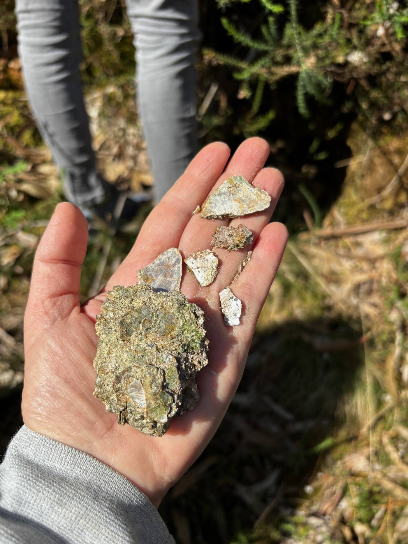 Fragmentos de mineral recogidos en el campo, sostenidos en una mano.